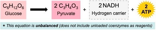 anaerobic equation