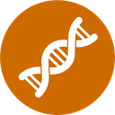 Nucleic Acids