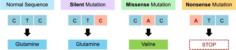 point mutations