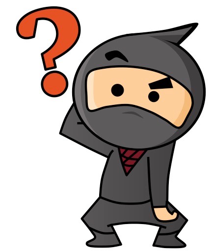 question ninja